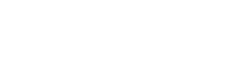 ROMG X